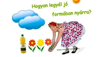 цвекло цвекло