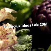 electrolux electrolux