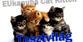 приятели другата котка