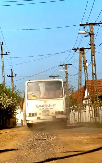 domestic autobuzului