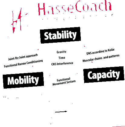 hassecoach hassecoach