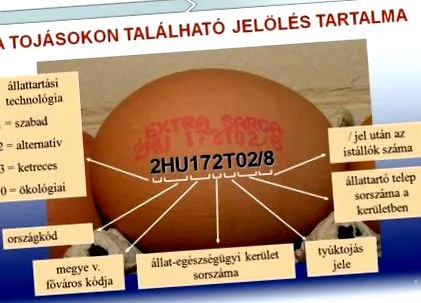 поради