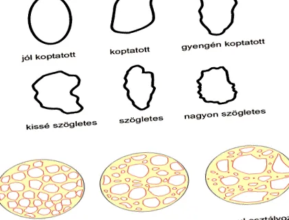 dimensiunea particulelor