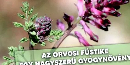 големи неговите
