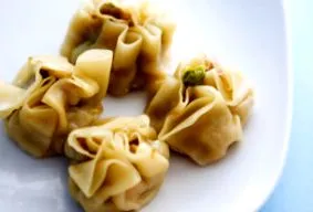 wonton направите