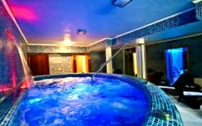 wellness wellness