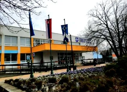 miklós viola