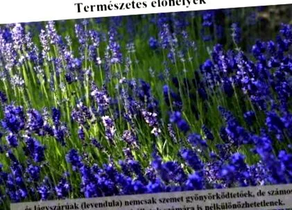 лекции поредица