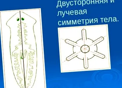 каски каски