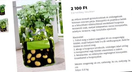 докато пликвате