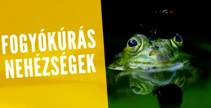 sfaturi pentru