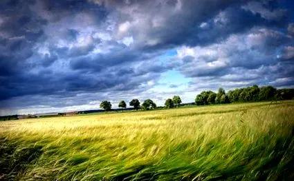 курс гладно