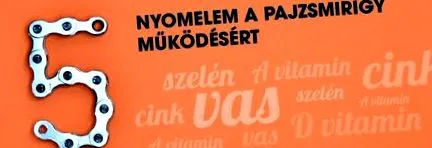 функцията щитовидната жлеза