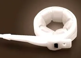 gastric este