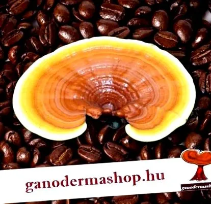 гъбички Ganoderma lucidum