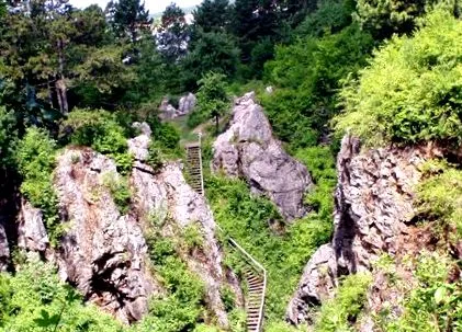 гледка гледка