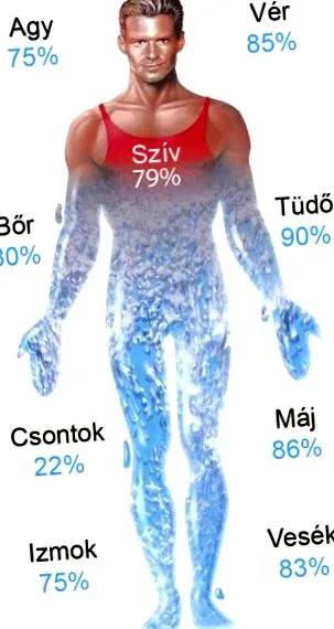 asupra corpului