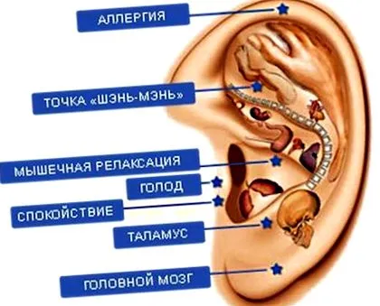 магніт відгуки