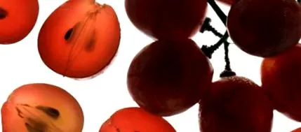 гроздето гроздето