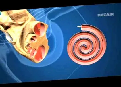 аскаридозу лямбліозу аскаридоз