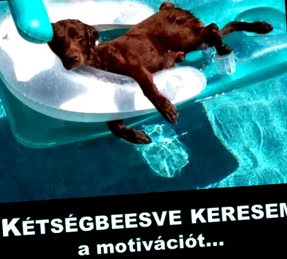 цветен ъгъл