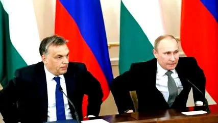negocieze negocieze
