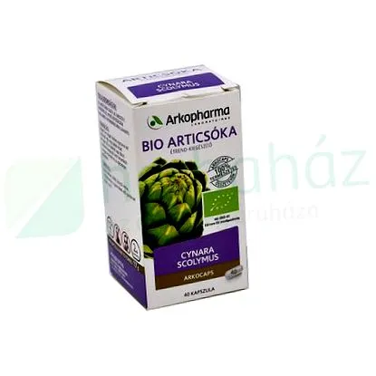 artichoke къща