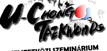 u-chong seminarul