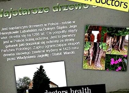 устата хроничен тонзилит