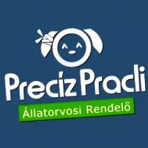 прецизен пракли