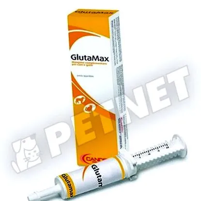 glutamax защитна