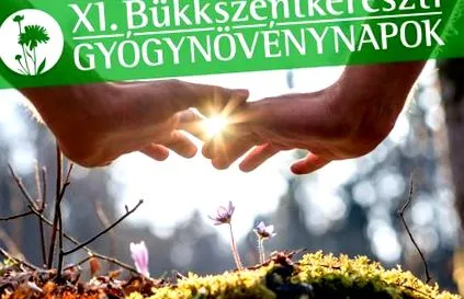 бюккшенткерешті днів трав