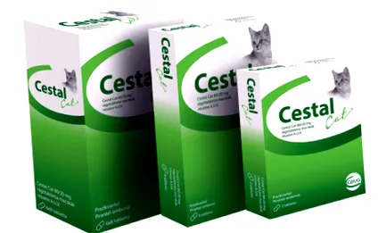 cestal