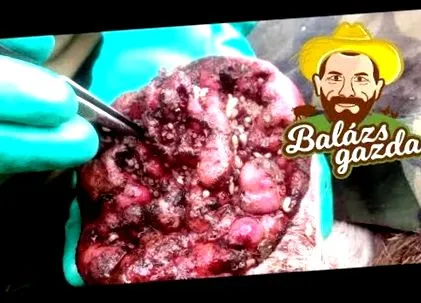 махачкала махачкала