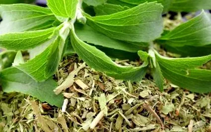 superalimentul cultivați