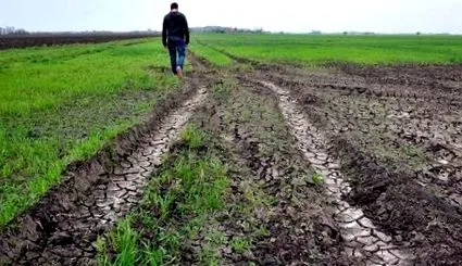 внутрішня внутрішня