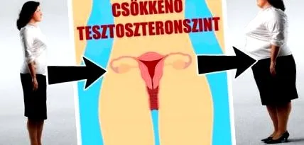 времето възраст