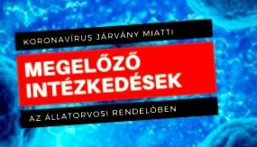 теніоз інфекція