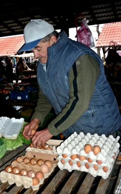 рибна шунка