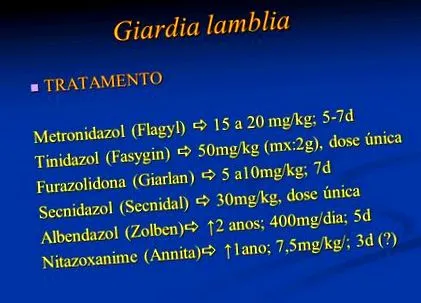 giardia диета