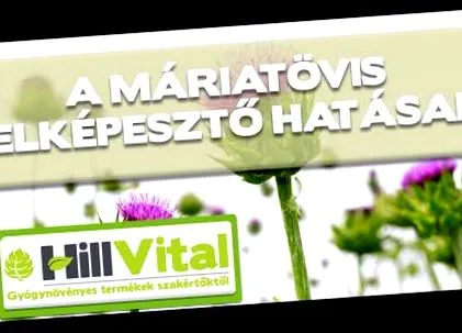 збір антигельмінтний