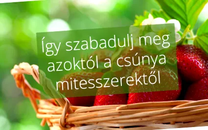 видалення вугрів неприємних