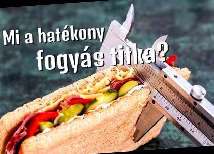 ефективни ефективни
