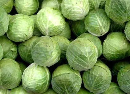 kisdunaújság kisdunaújság