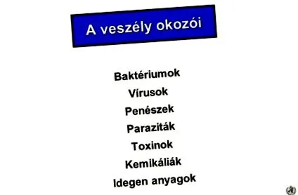 зразки шлемів