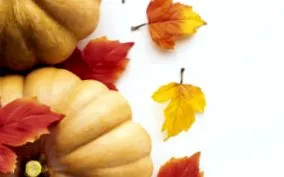 interfood blog