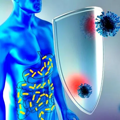 чревна флора immuntippek