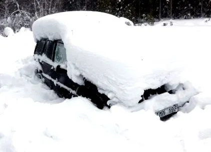 supraviețuit știință