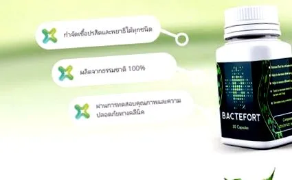 бактефорт