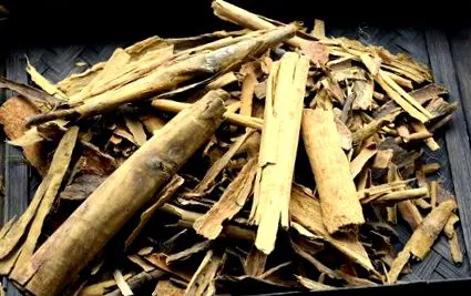 ceylon real